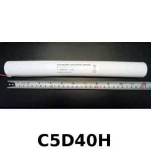 5 Cell D Straight 4000mAh 6.0V Battery